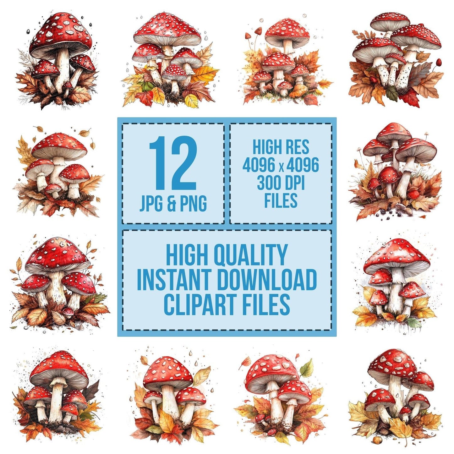 Mushroom Cluster with Leaves Clipart Set (DDD006119)