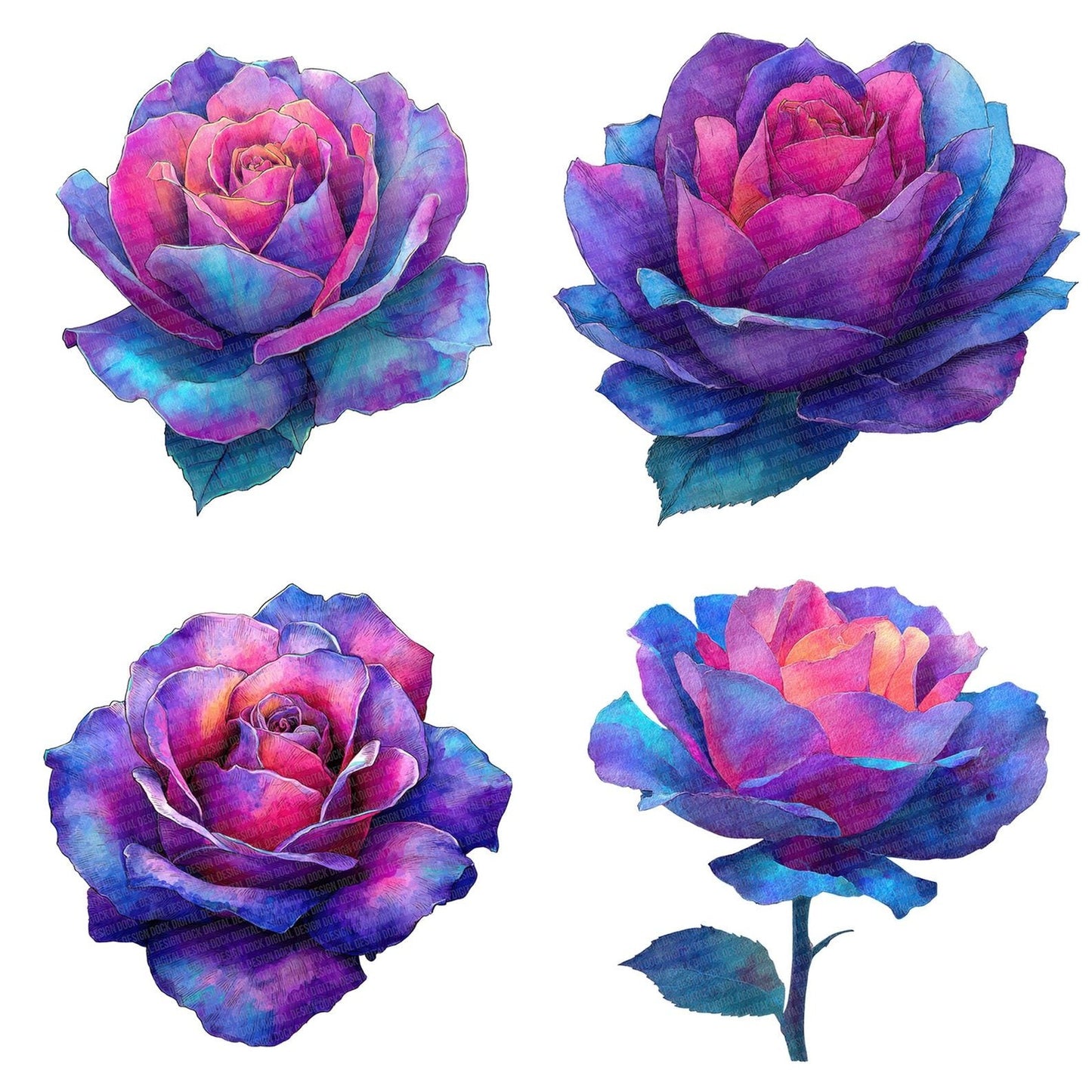 Neon Watercolour Rose Clipart Set (DDD006168)