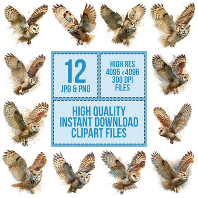 Owl In Flight Clipart Set (DDD006229)