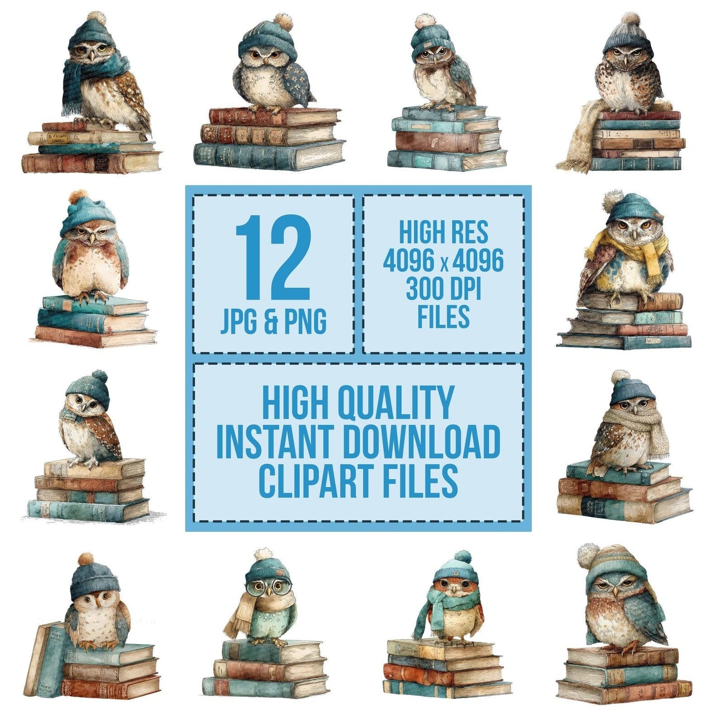 Owl on Books Clipart Set (DDD006230)