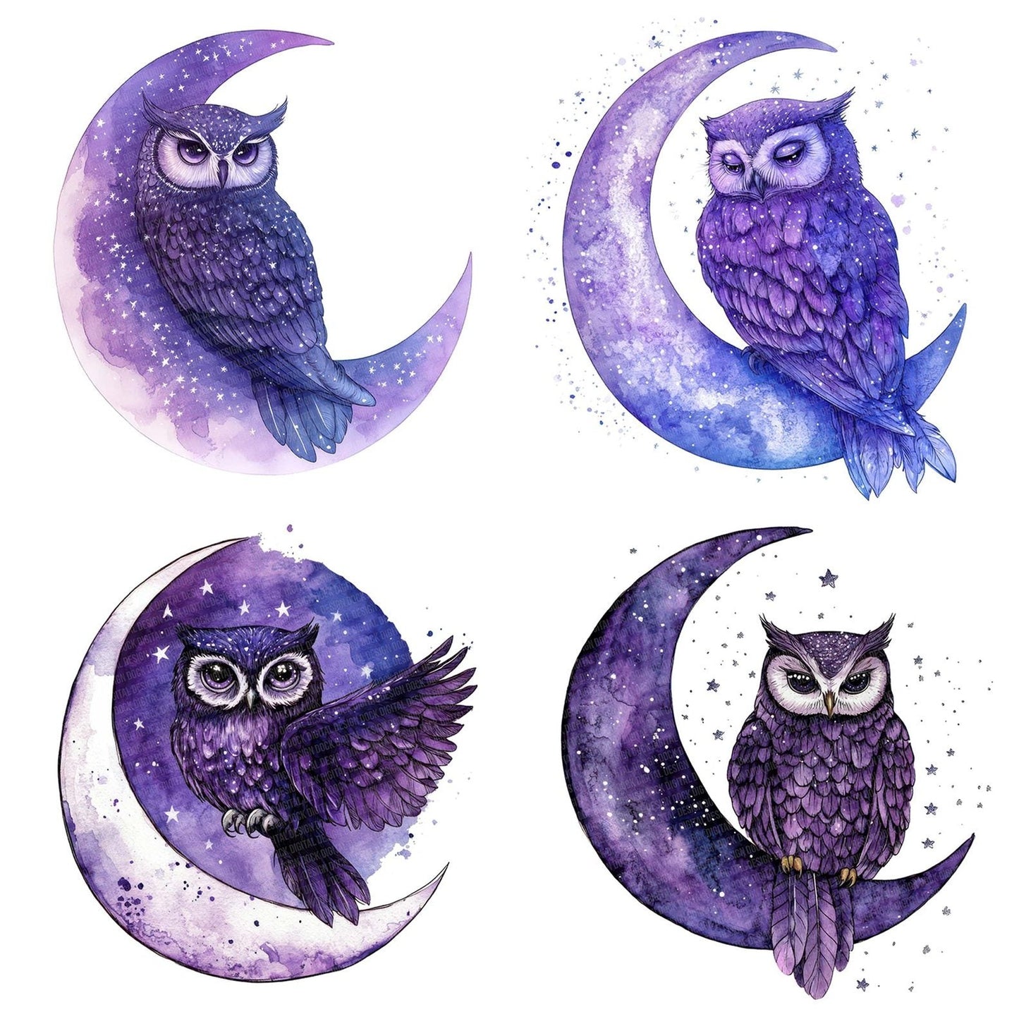 Owl on Crescent Moon Clipart Set (DDD006231)