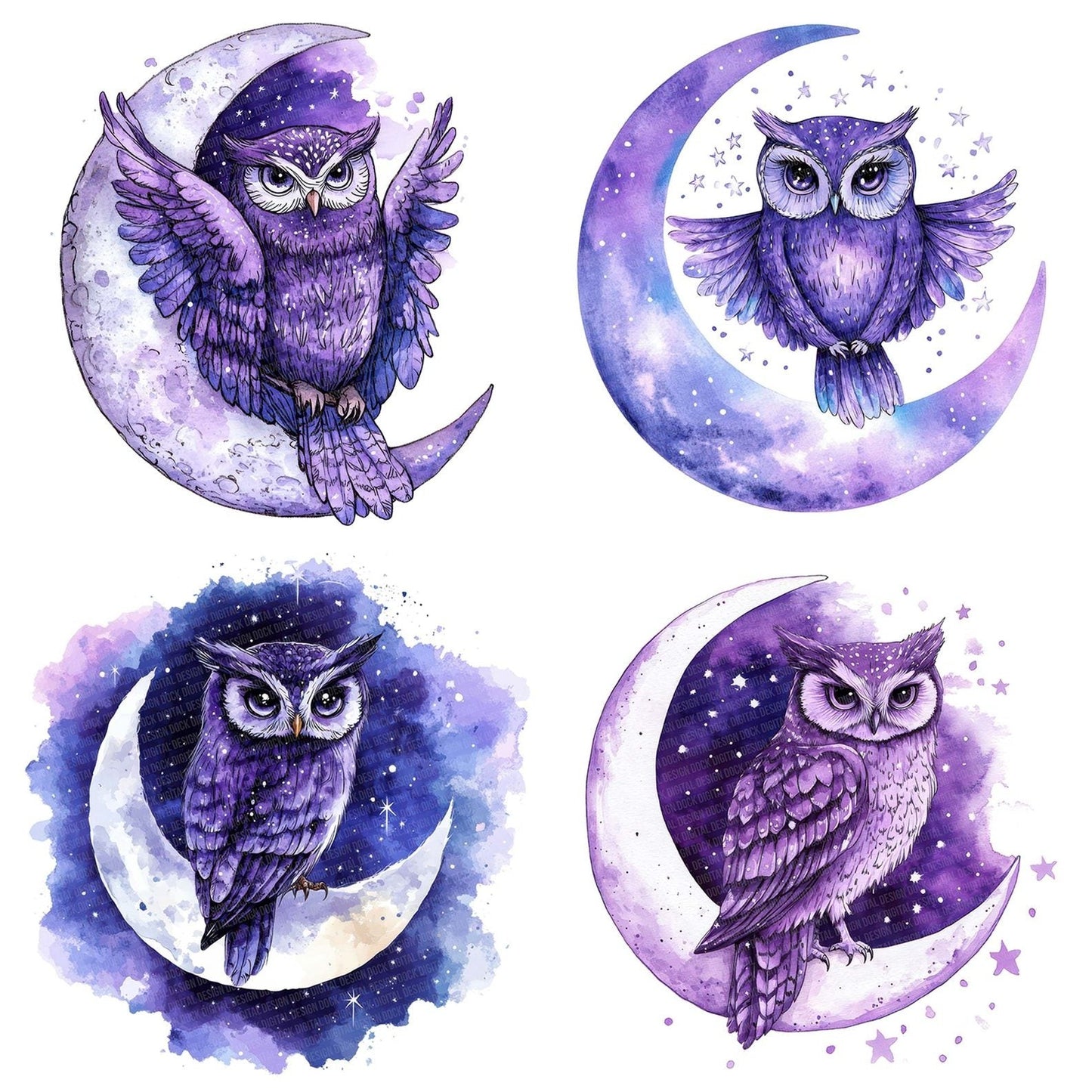 Owl on Crescent Moon Clipart Set (DDD006231)
