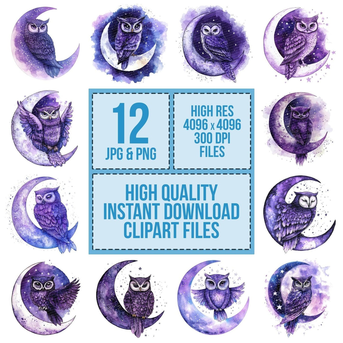 Owl on Crescent Moon Clipart Set (DDD006231)