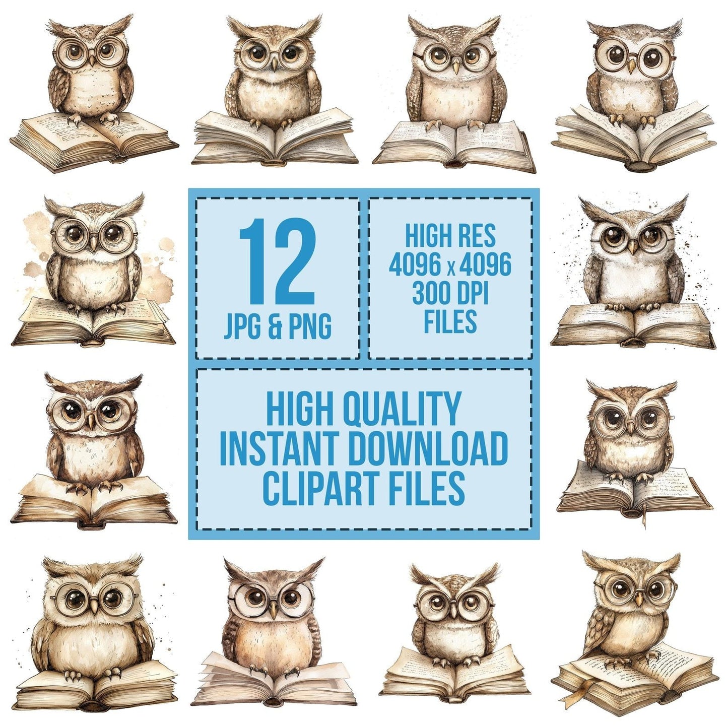 Owl on Open Book Clipart Set (DDD006232)