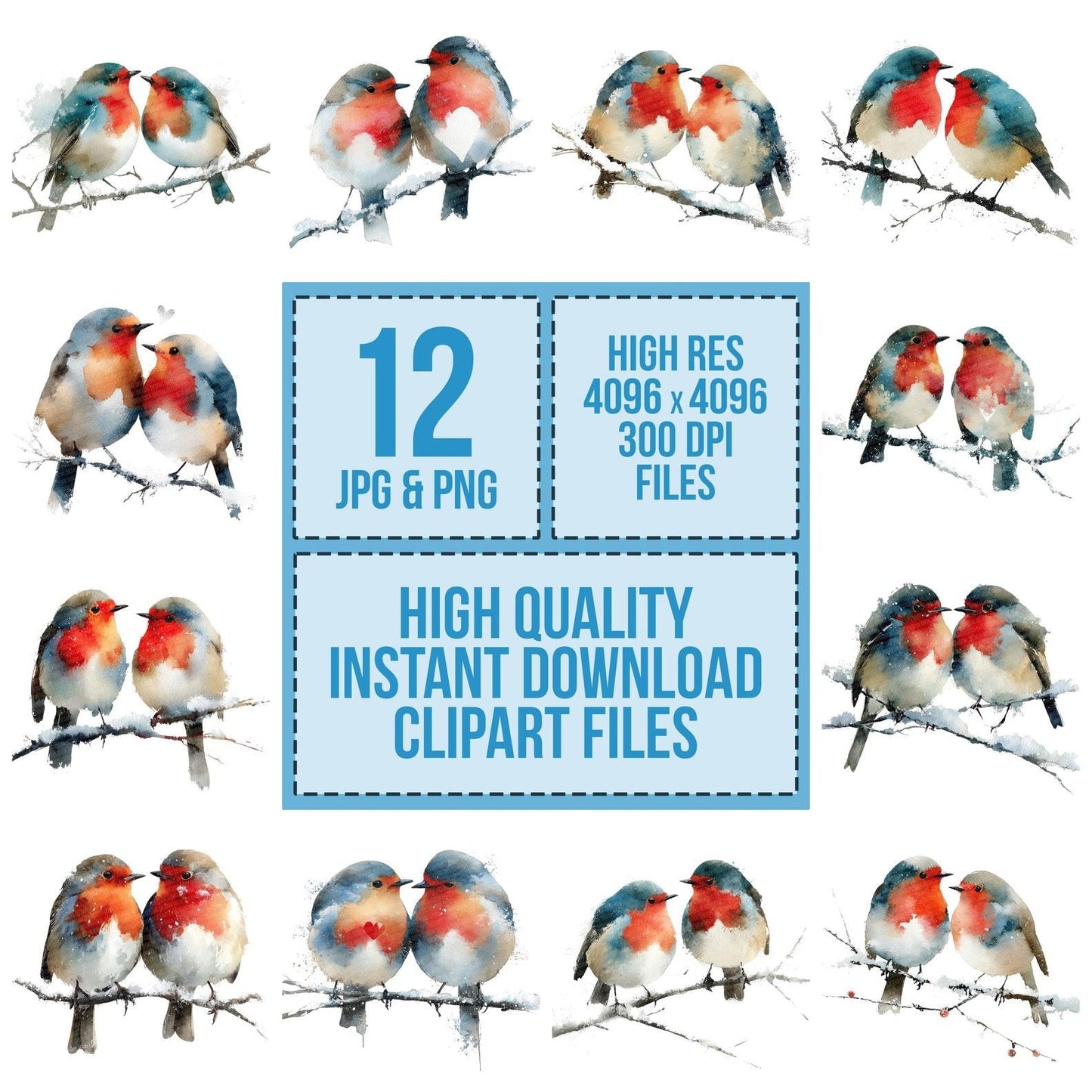 Pair of Christmas Robins Clipart Set (DDD006236)