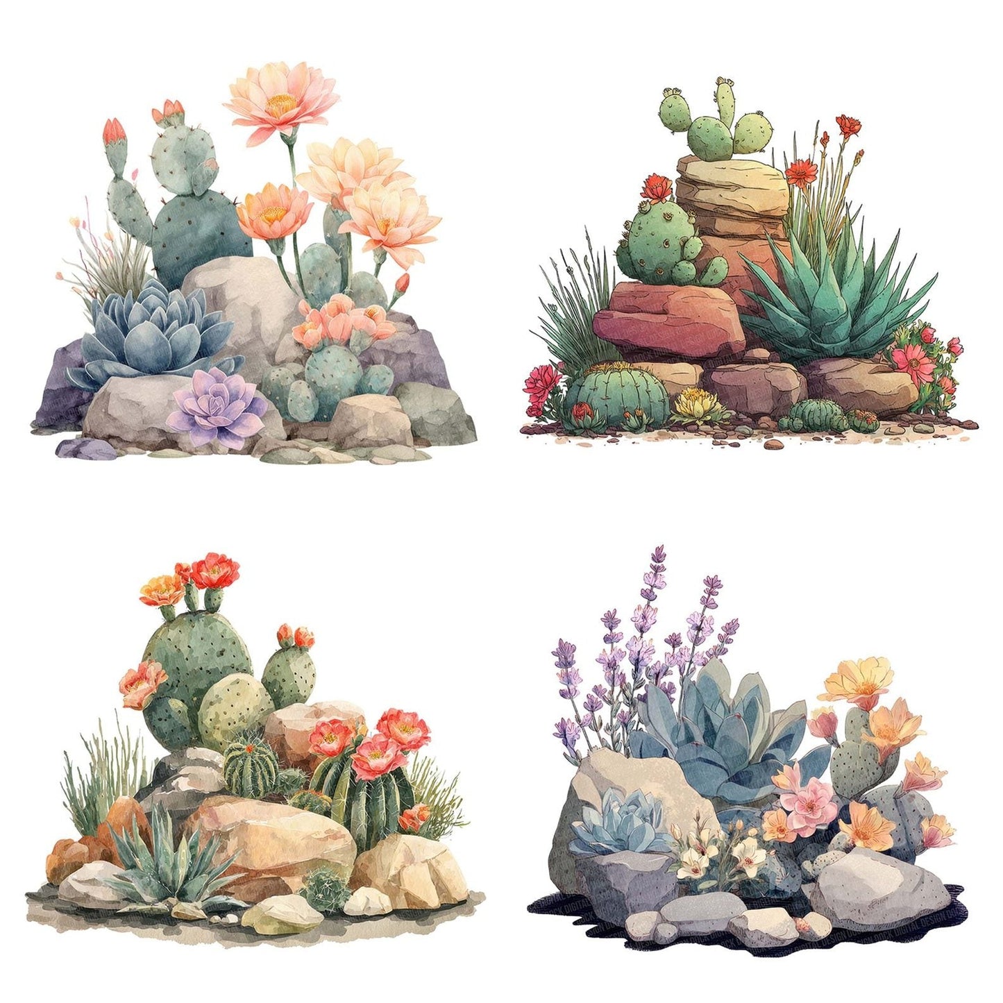 Pastel Cactus Flower Rockery Clipart Set (DDD006249)