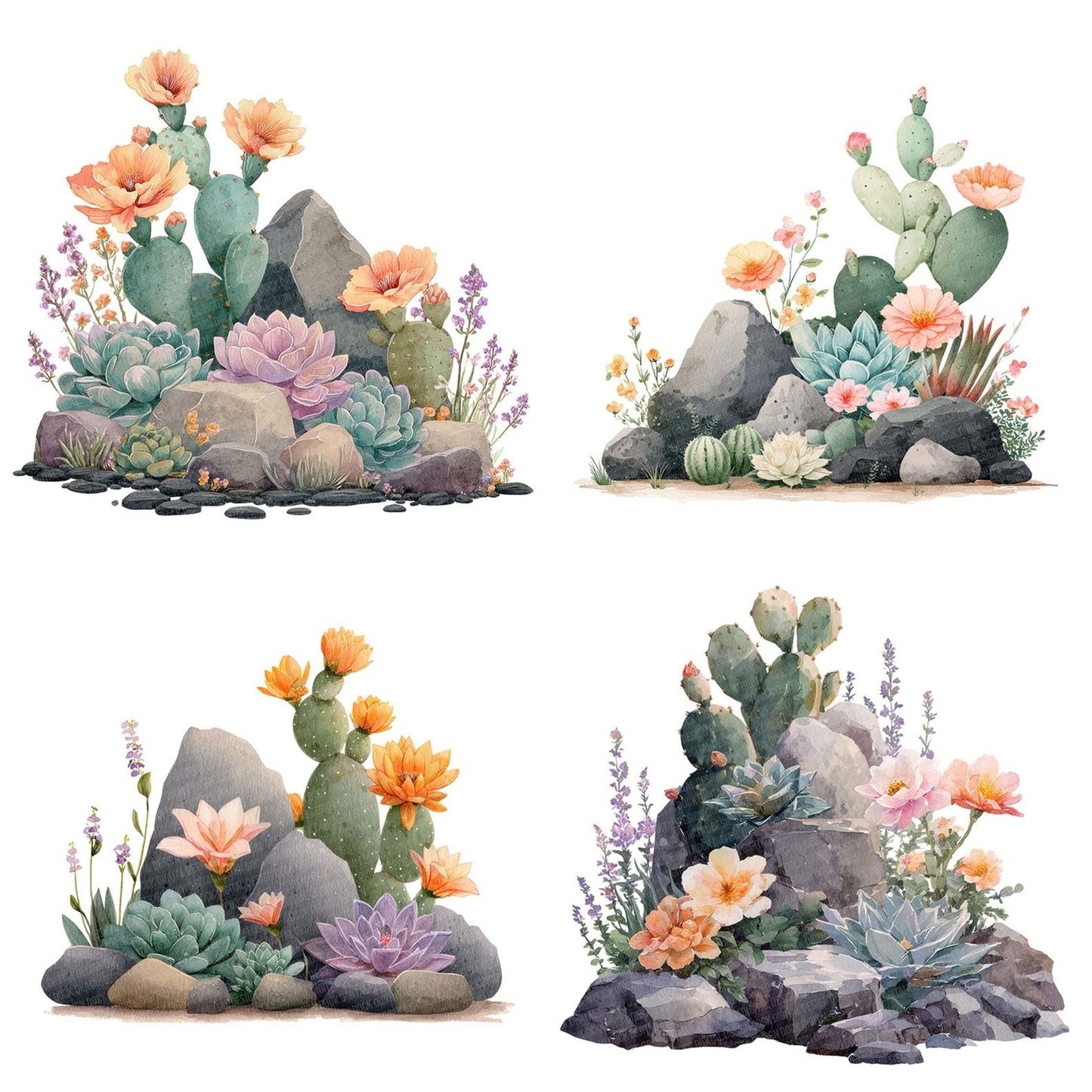Pastel Cactus Flower Rockery Clipart Set (DDD006249)