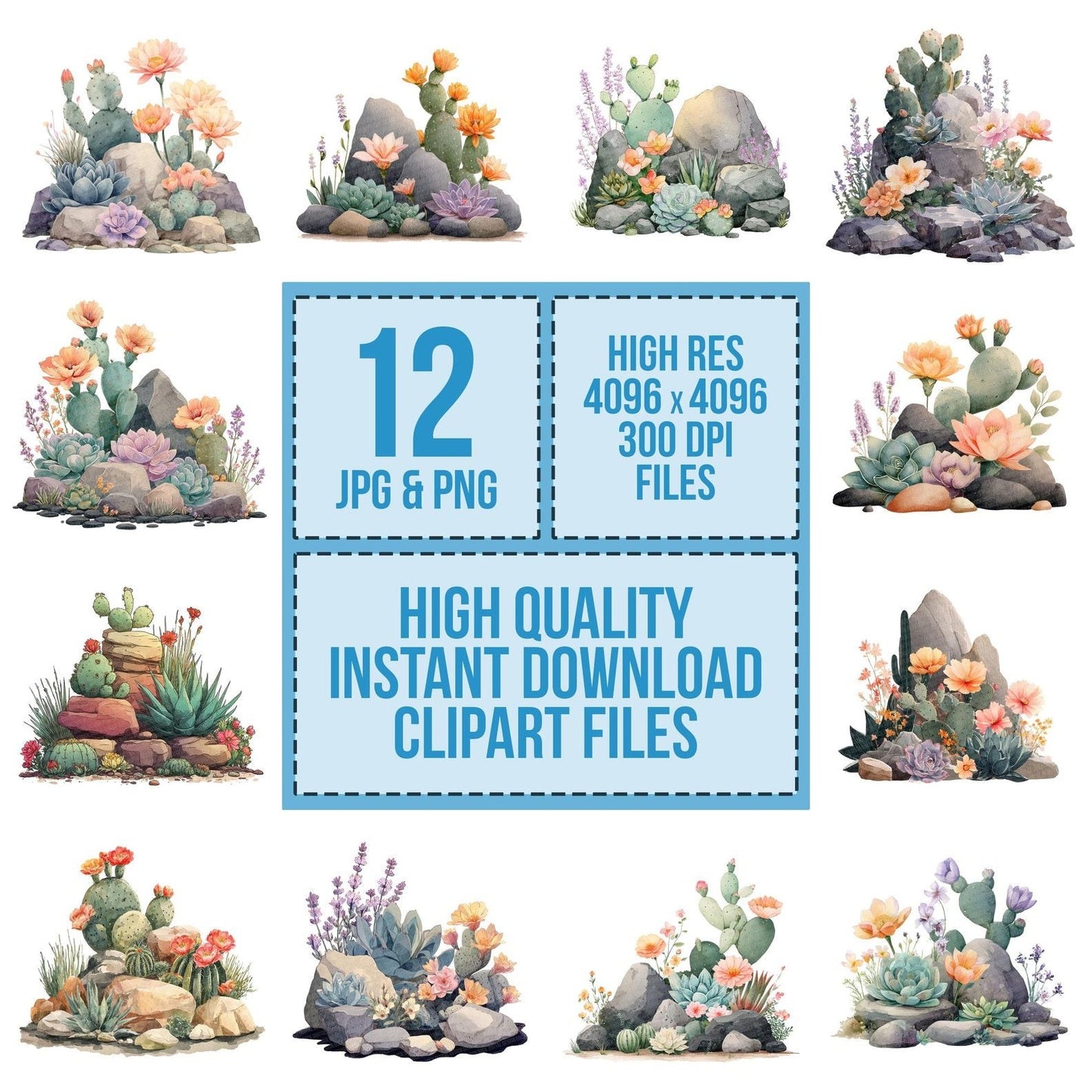 Pastel Cactus Flower Rockery Clipart Set (DDD006249)