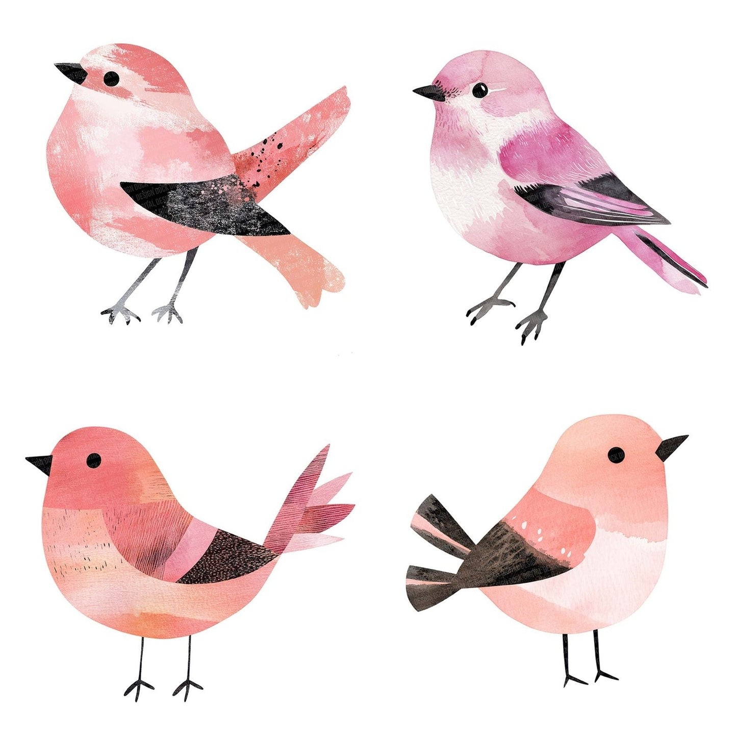 Pastel Pink Bird Clipart Set (DDD006258)