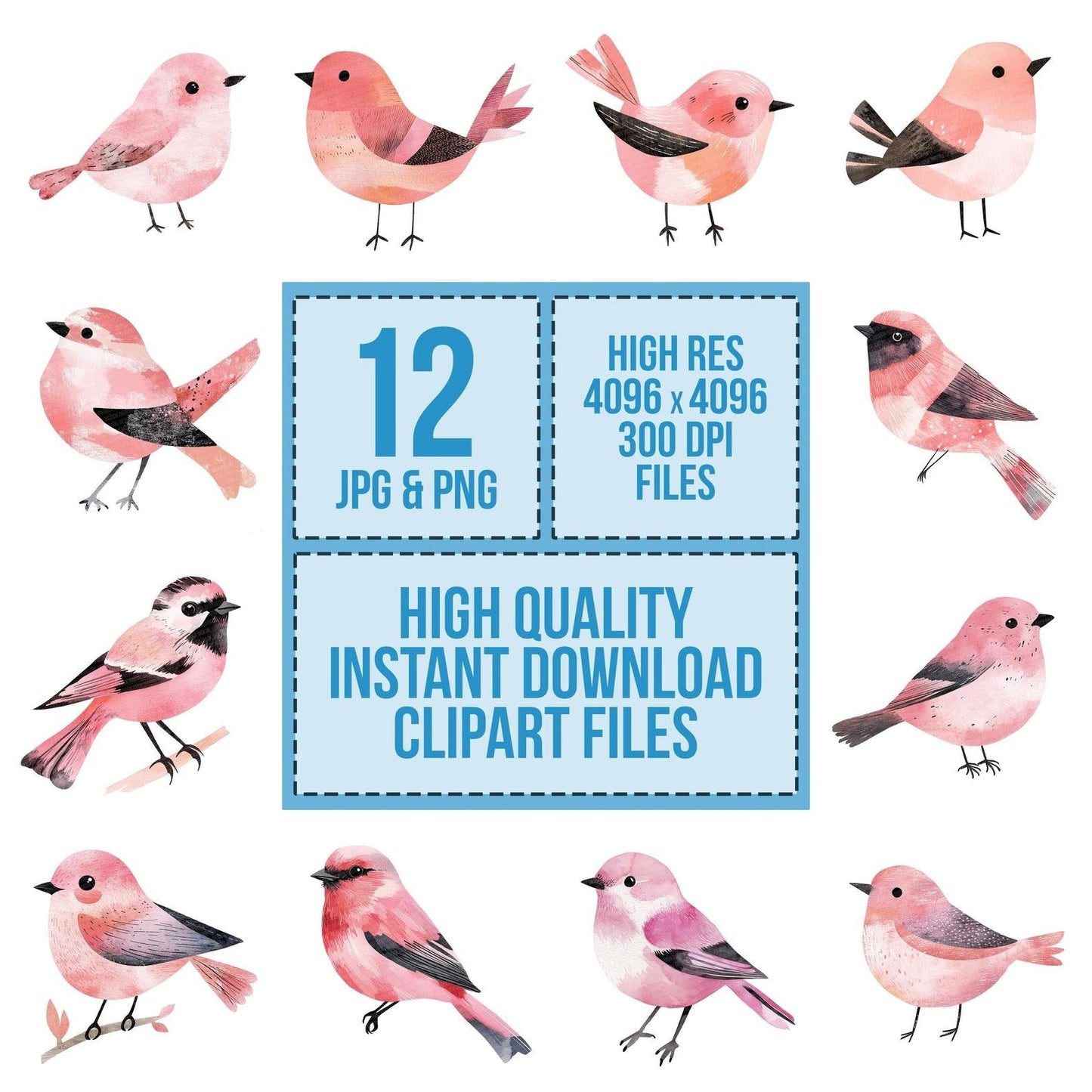 Pastel Pink Bird Clipart Set (DDD006258)