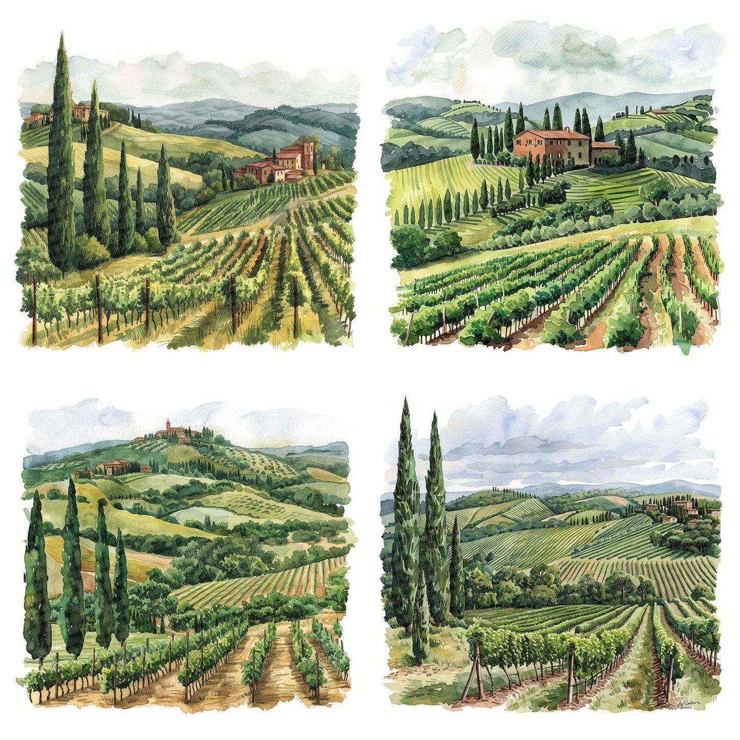 Picturesque Tuscan Vineyard Clipart Set (DDD006290)
