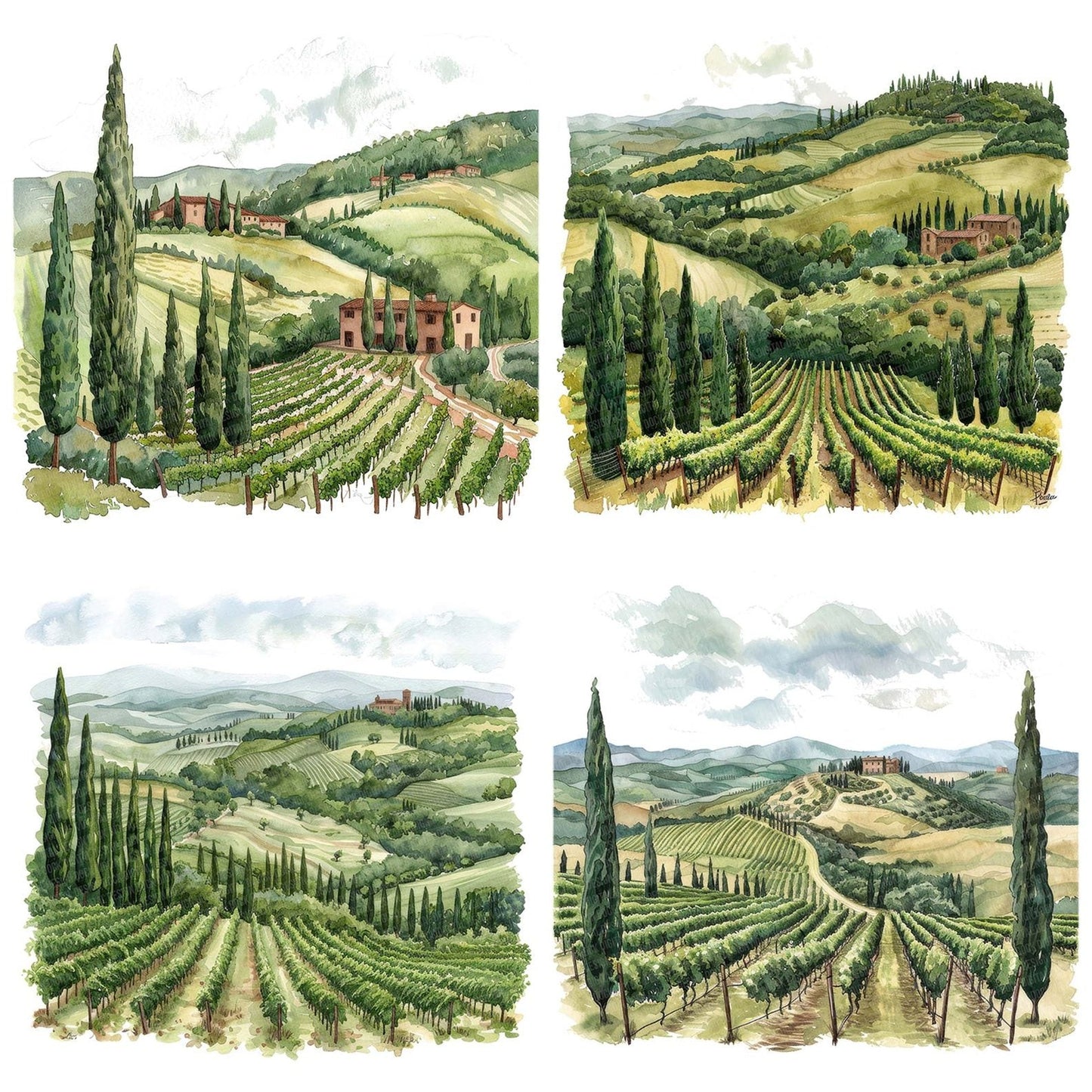Picturesque Tuscan Vineyard Clipart Set (DDD006290)