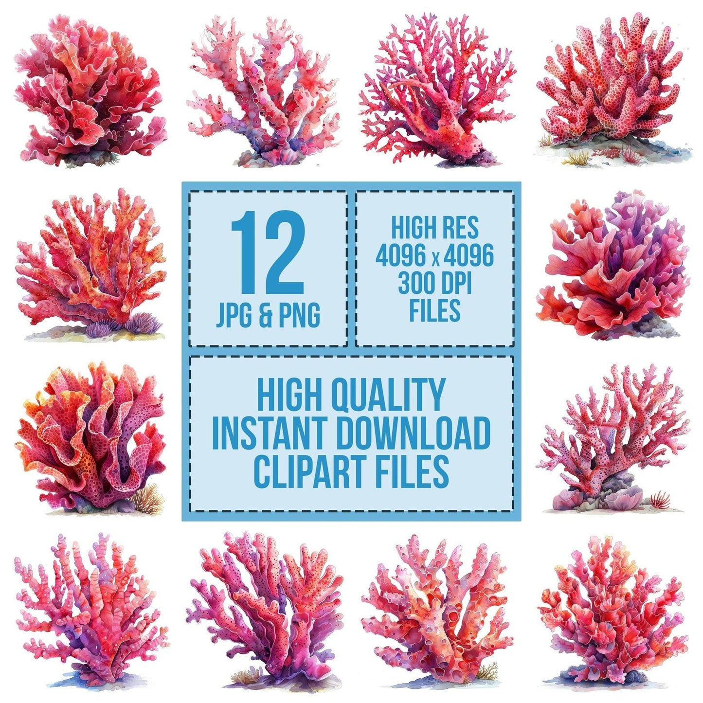 Piece of Coral Reef Clipart Set (DDD006291)