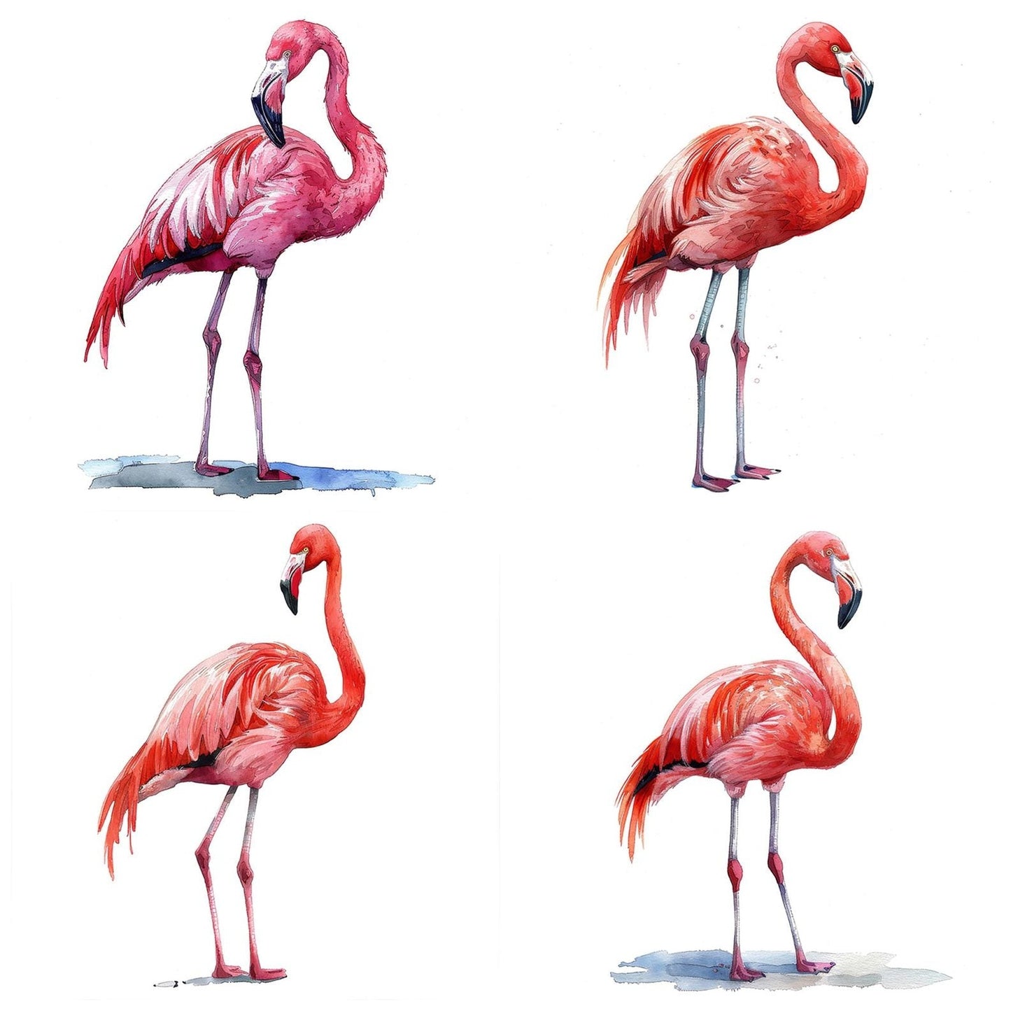 Pink Flamingo Clipart Set (DDD006304)