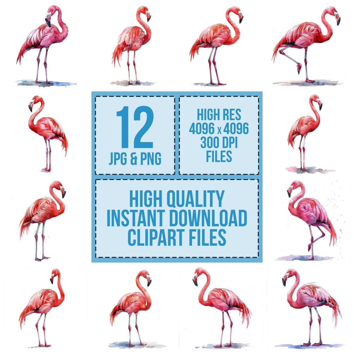 Pink Flamingo Clipart Set (DDD006304)
