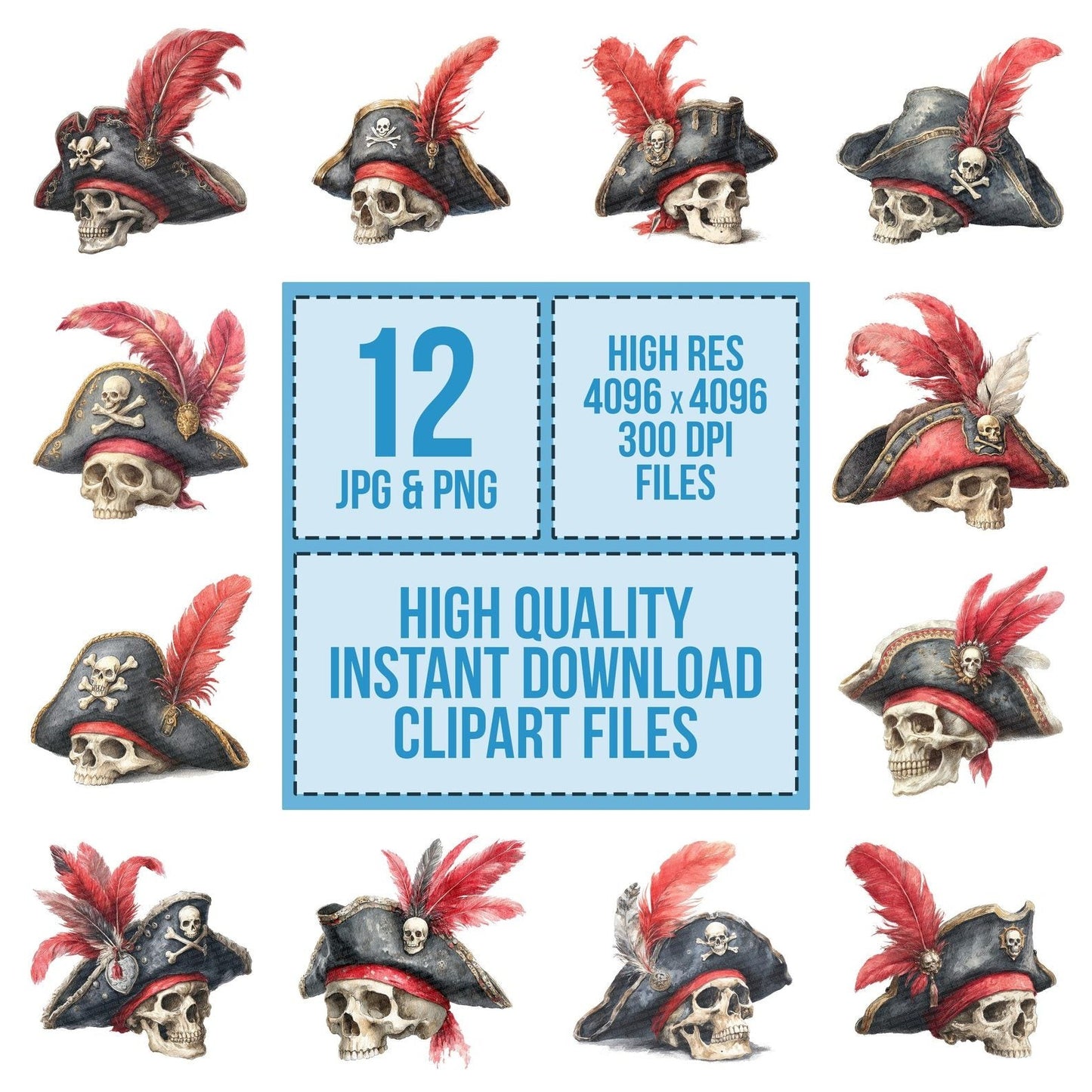 Pirate Hat Feather Clipart Set (DDD006314)