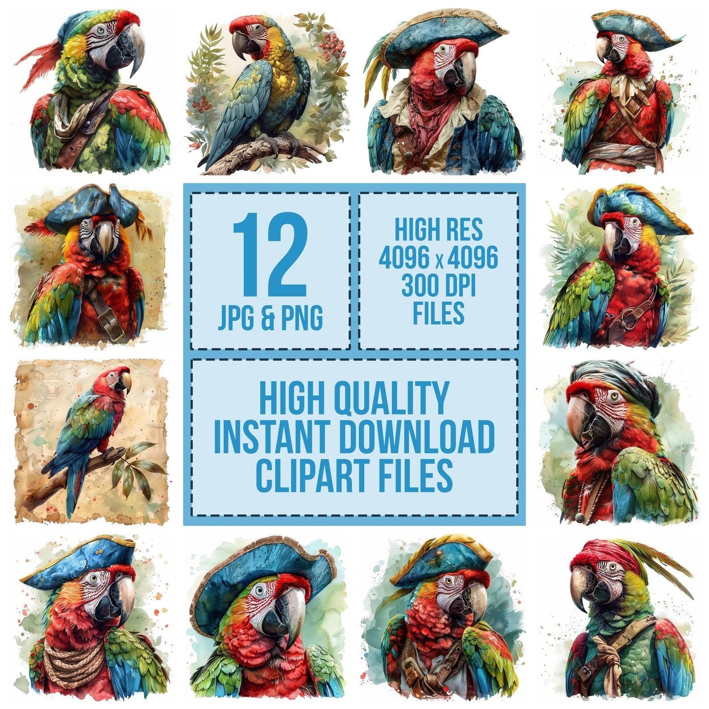 Pirates Parrot Clipart Set (DDD006322)
