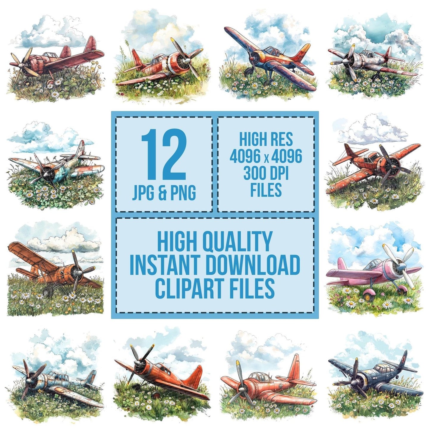 Plane in Wildflowers Clipart Set (DDD006324)