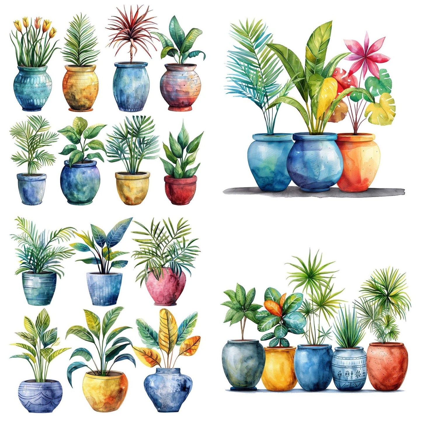 Potted Colourful Tropical Plants Clipart Set (DDD006339)