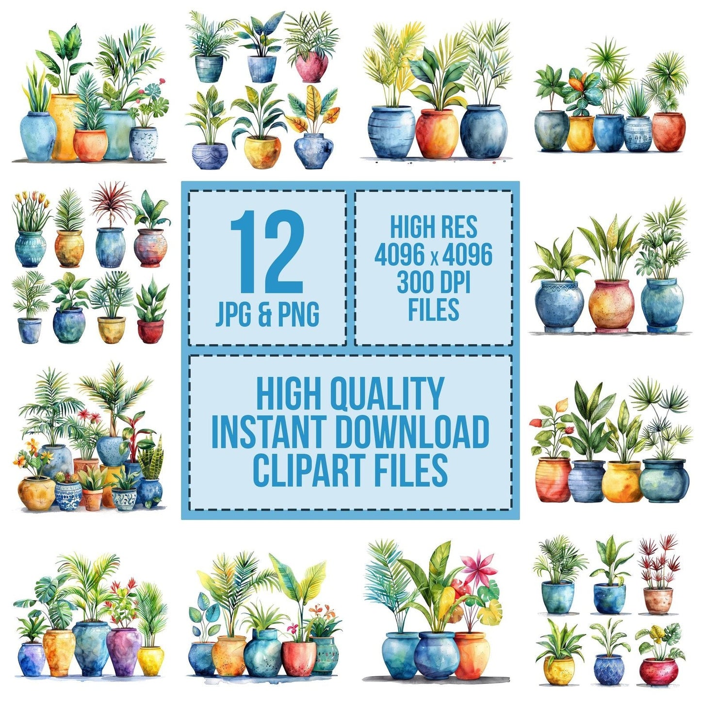 Potted Colourful Tropical Plants Clipart Set (DDD006339)