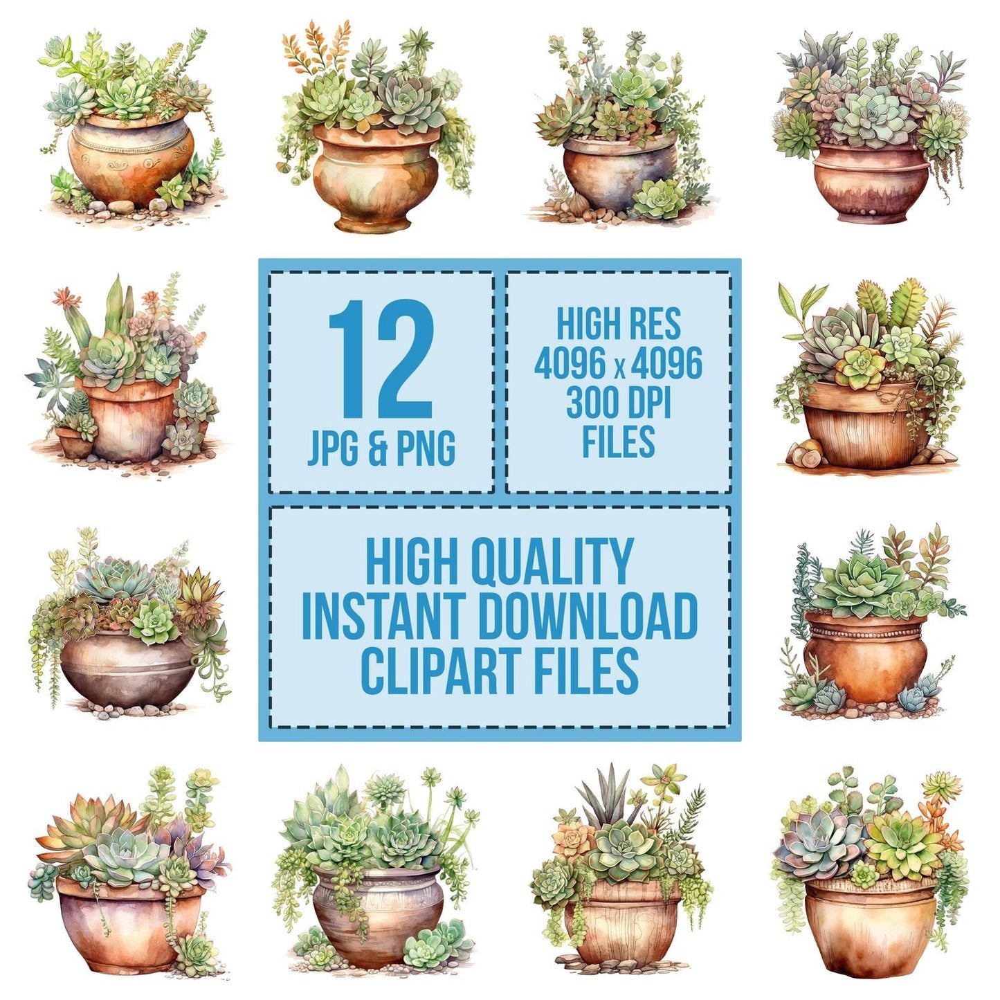 Potted Succulents in Clay Pot Clipart Set (DDD006341)