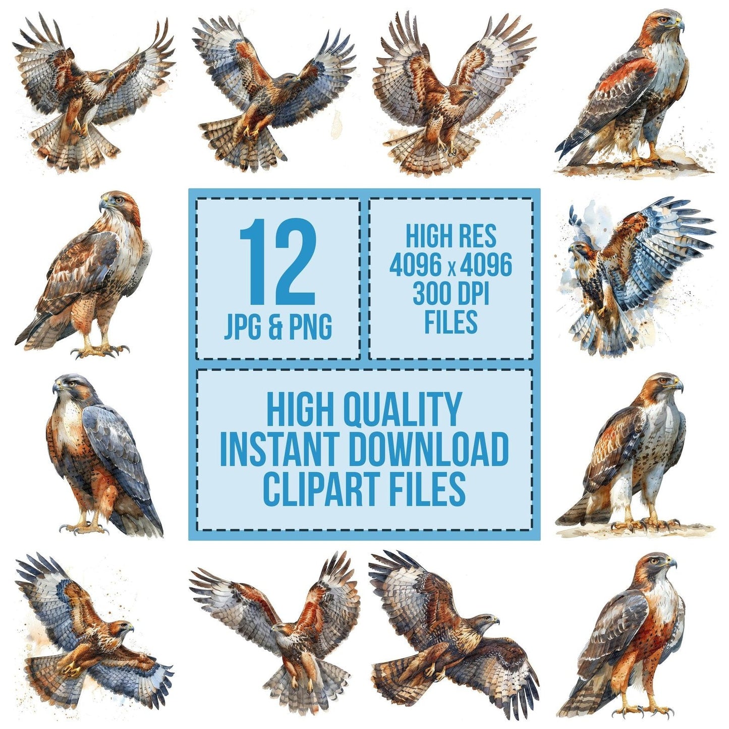 Powerful Hawk Clipart Set (DDD006347)