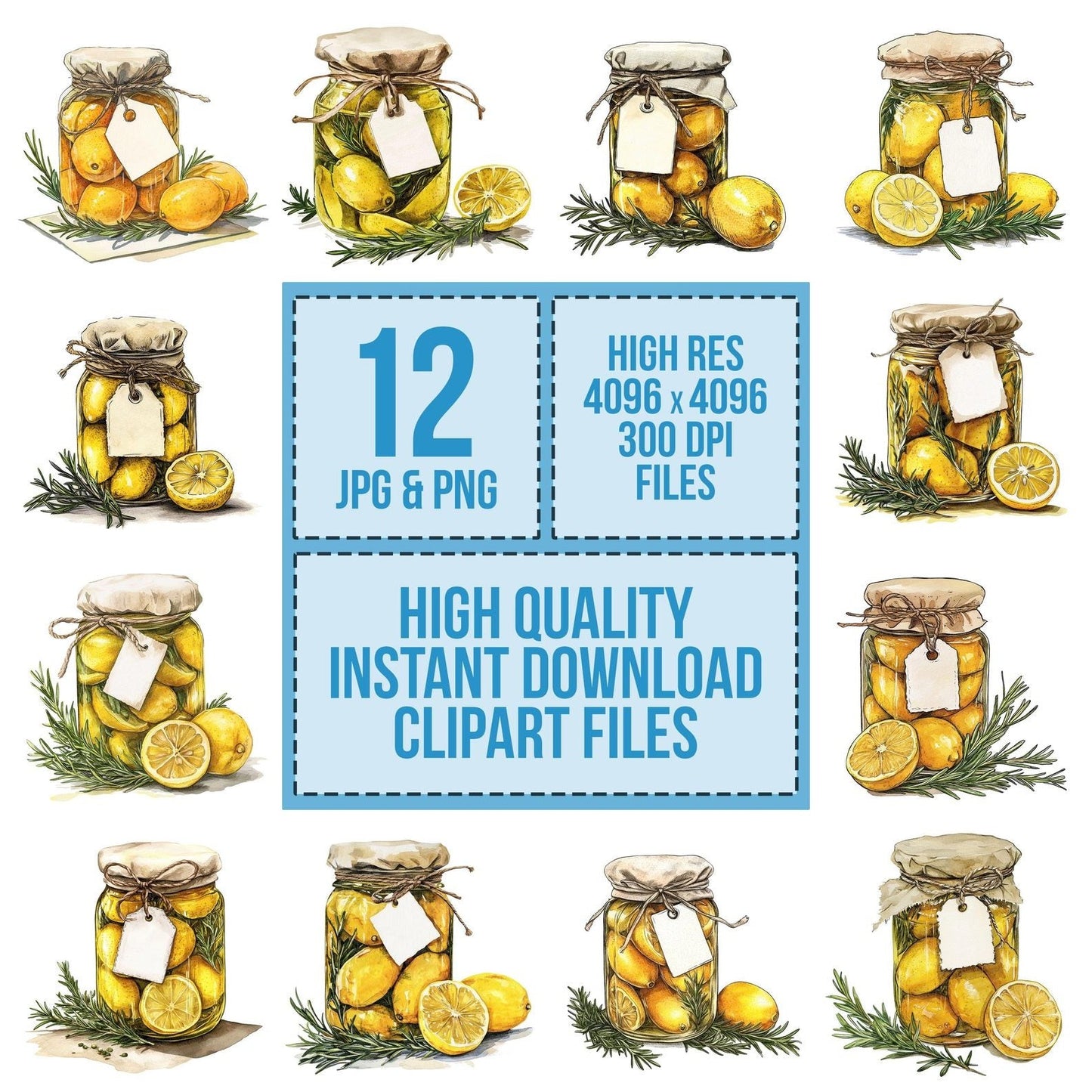 Preserved Lemons in Jar Clipart Set (DDD006349)