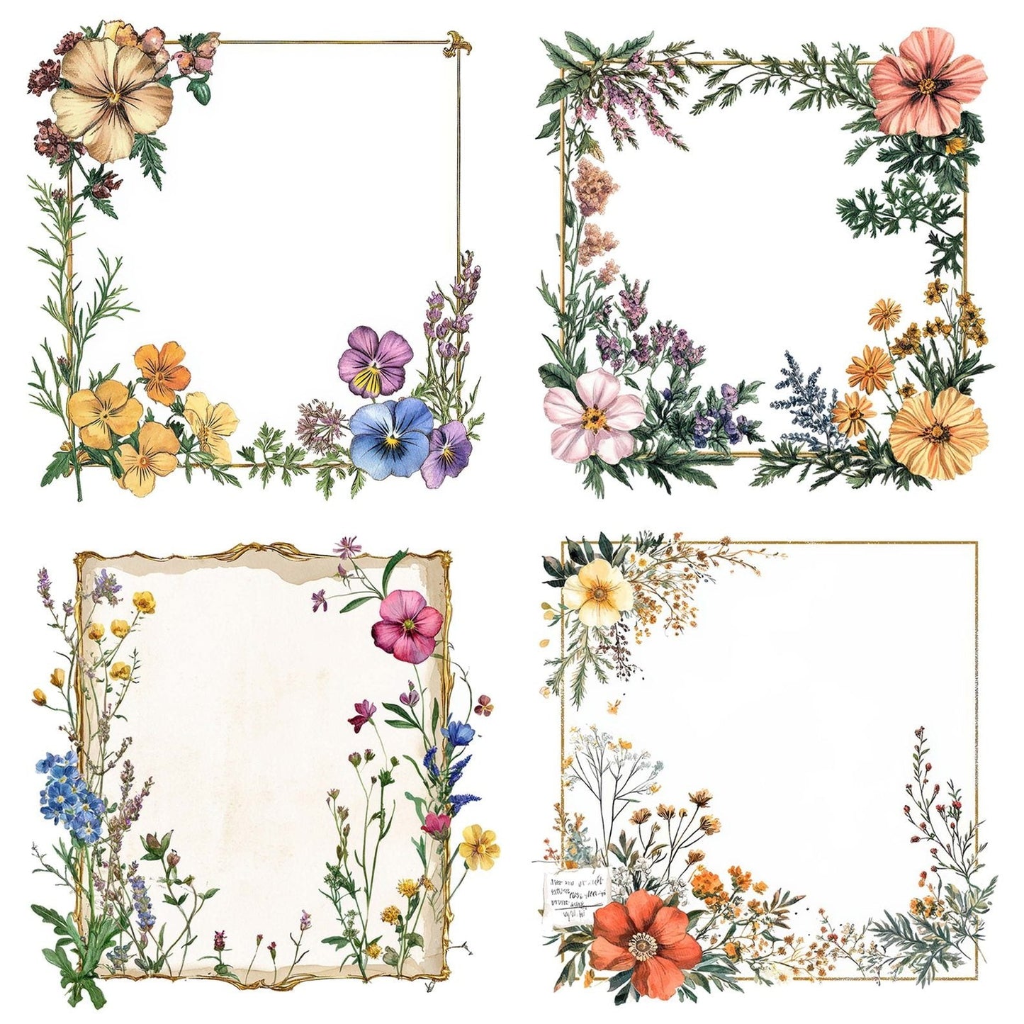 Pressed Flower Frame Clipart Set (DDD006351)
