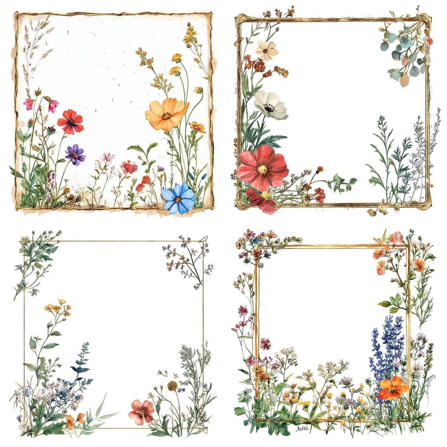 Pressed Flower Frame Clipart Set (DDD006351)