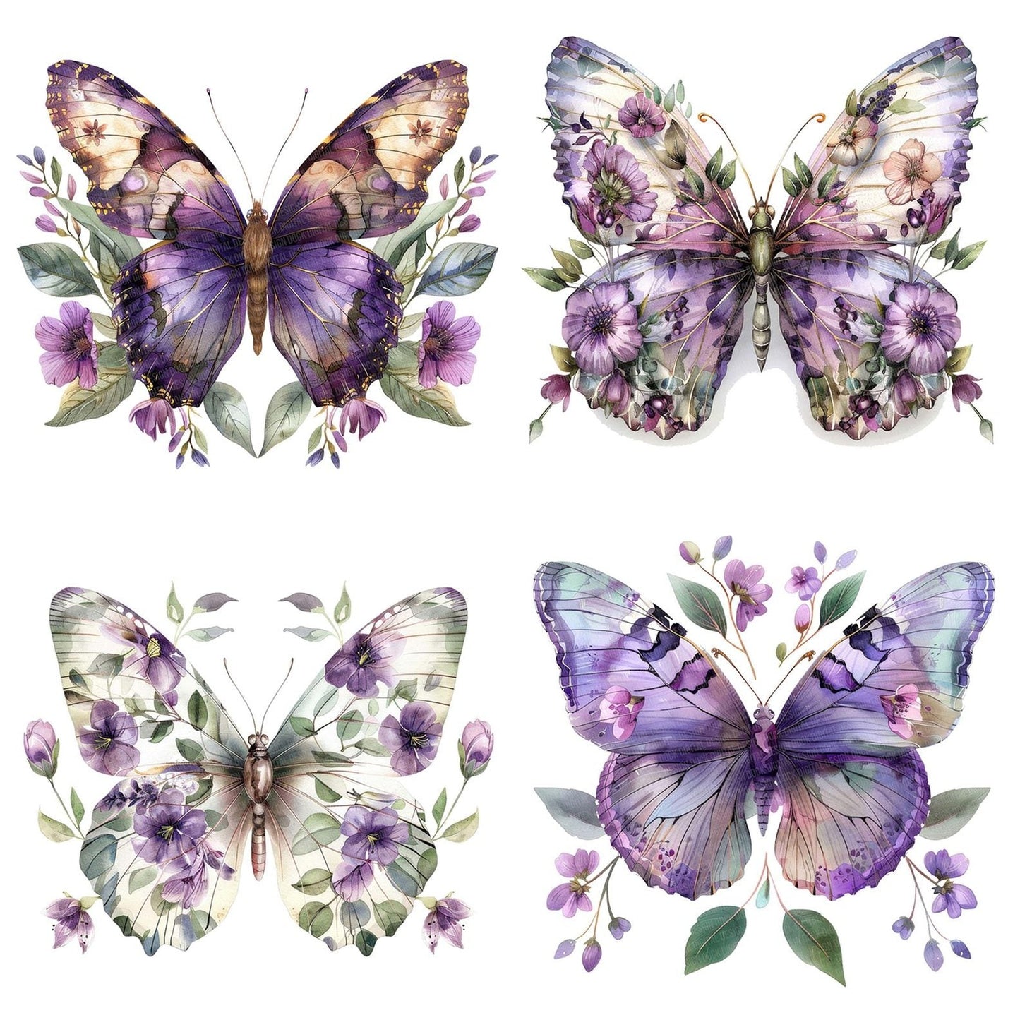 Purple Watercolour Floral Butterfly Clipart Set (DDD006368)