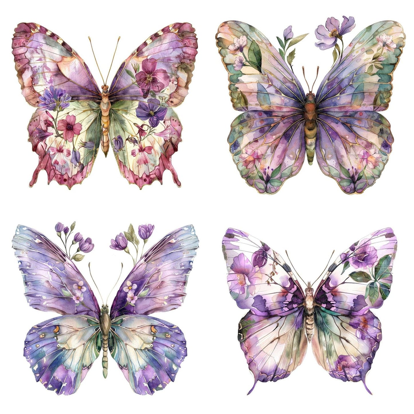 Purple Watercolour Floral Butterfly Clipart Set (DDD006368)