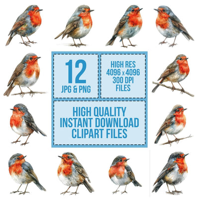 Robin Red Breast clipart set cover showing the designs and file details