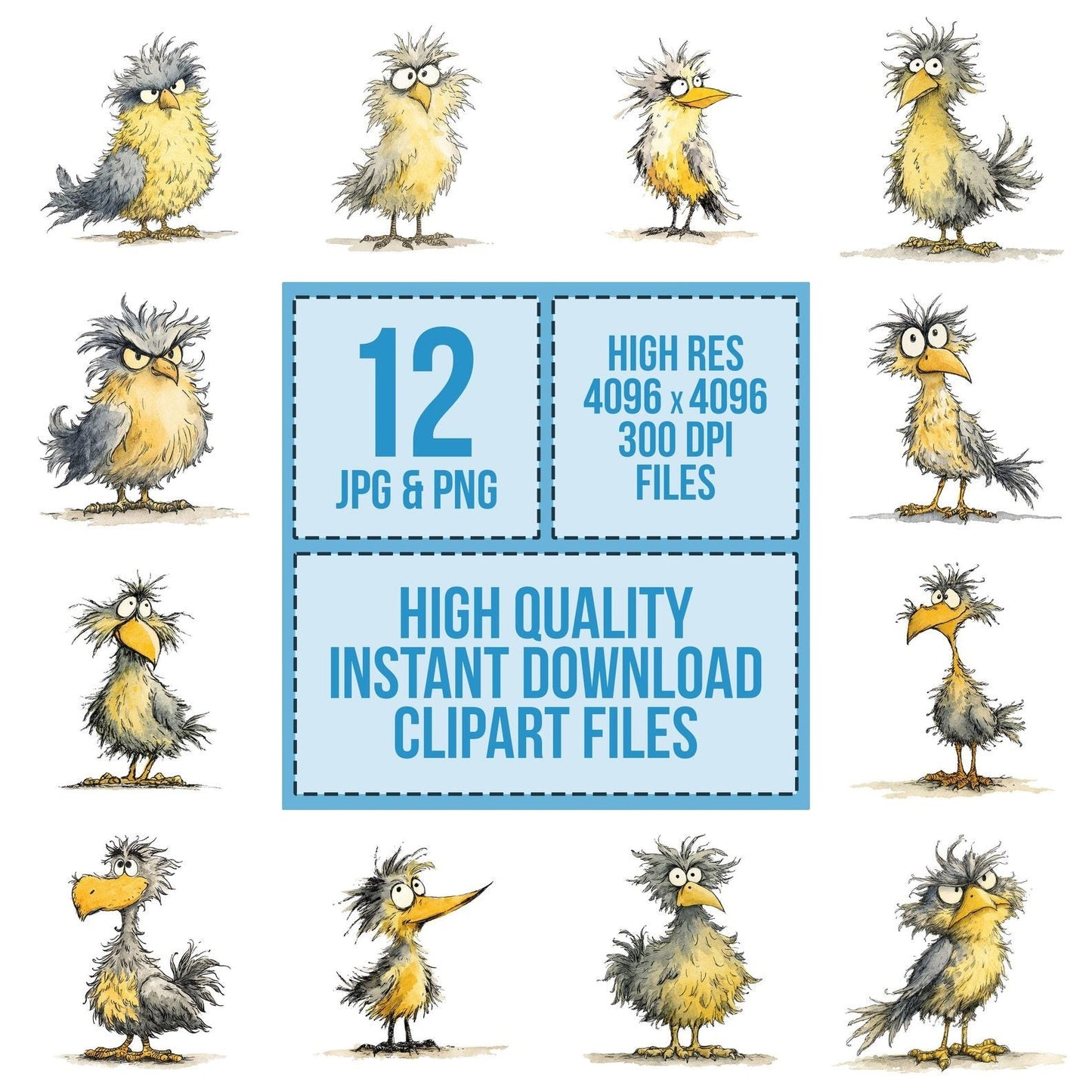 Ruffled Feather Bird Character Clipart Set (DDD006467)