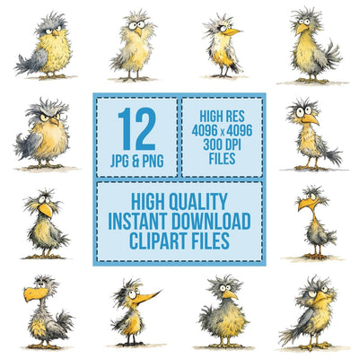 Ruffled Feather Bird Character clipart set cover showing the designs and file details