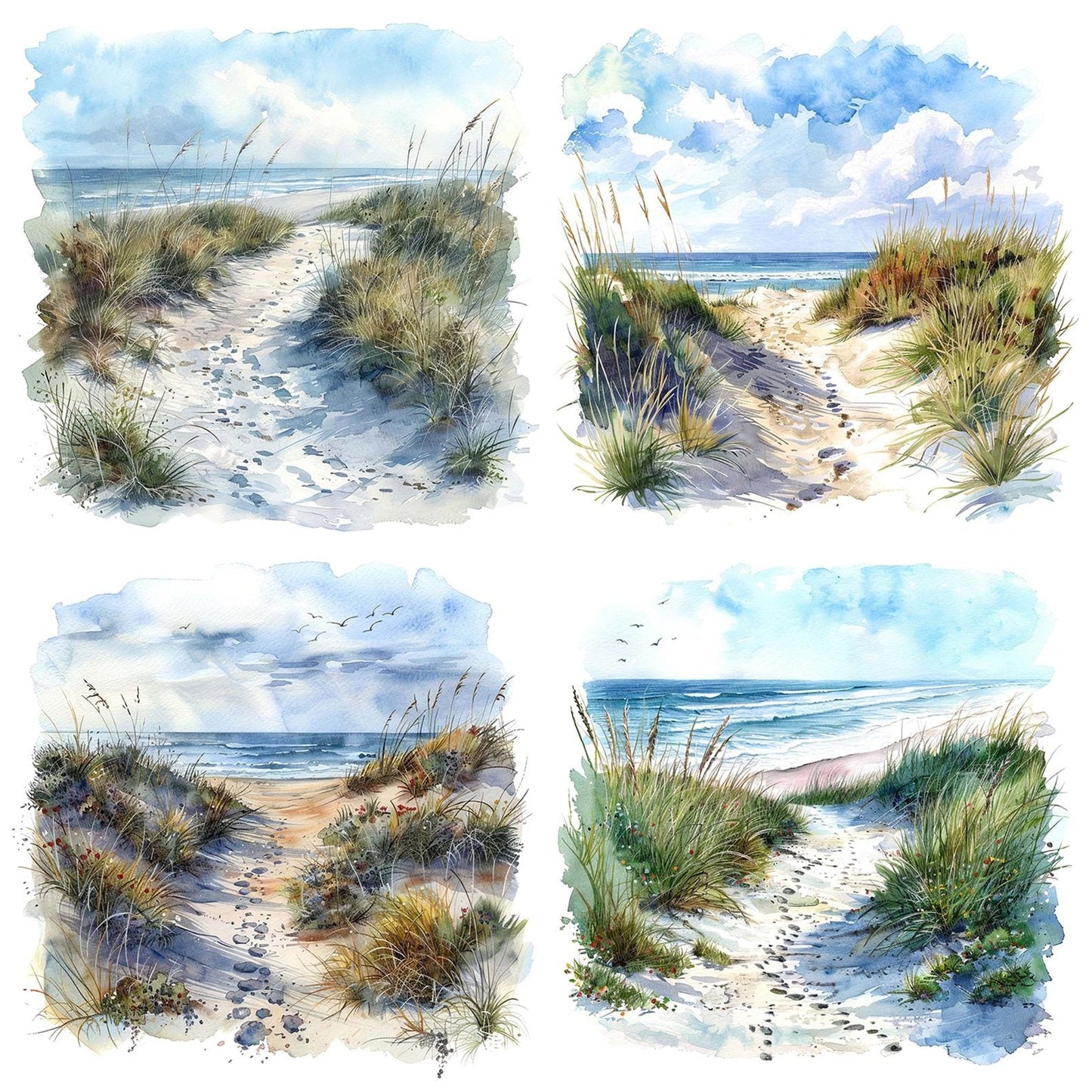 Sand Dune Path Clipart Set (DDD006486)