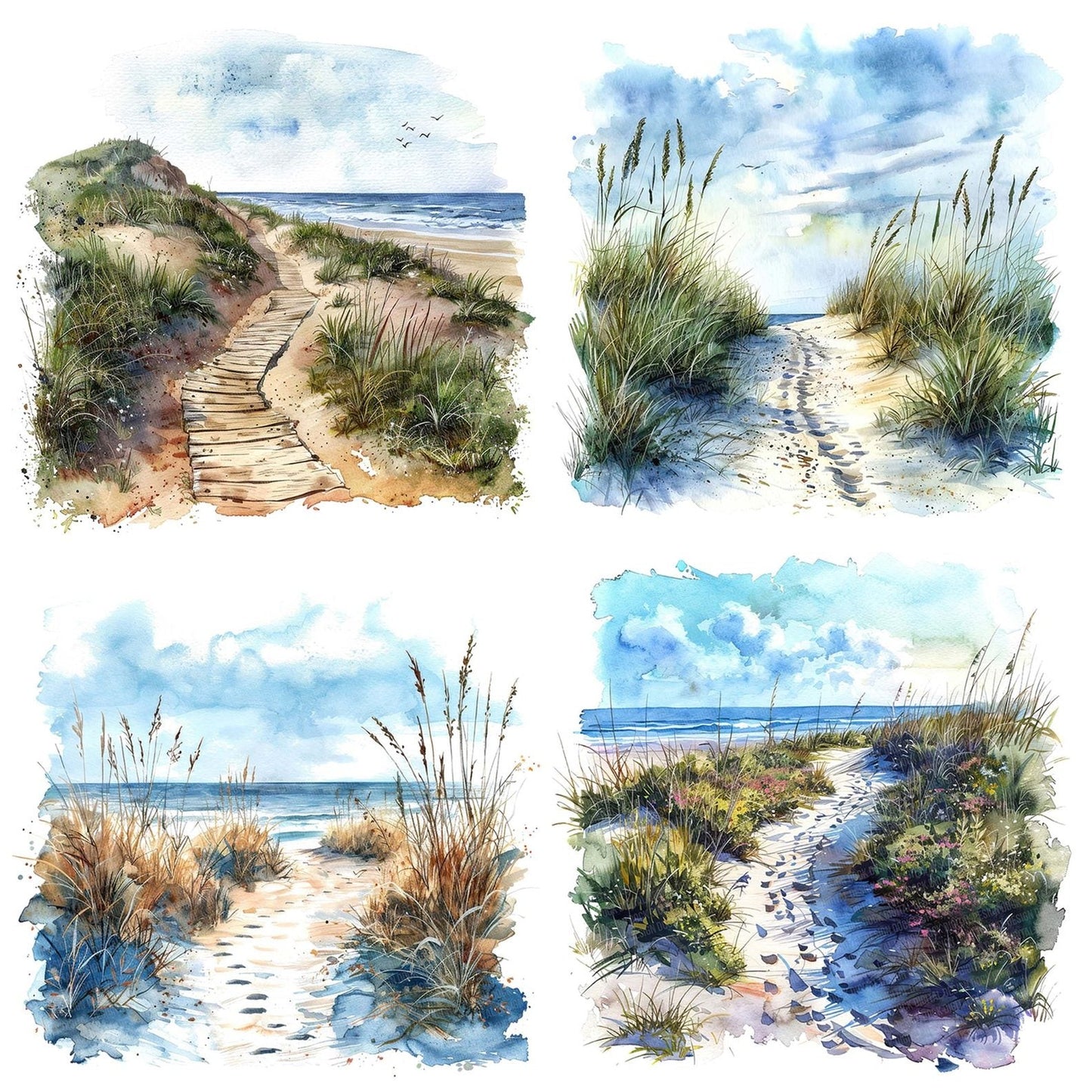 Sand Dune Path Clipart Set (DDD006486)