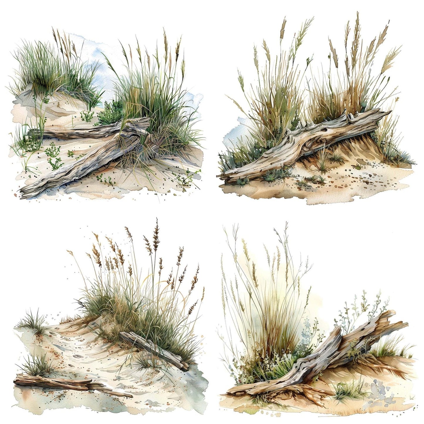 Sand Dunes Driftwood Clipart Set (DDD006490)