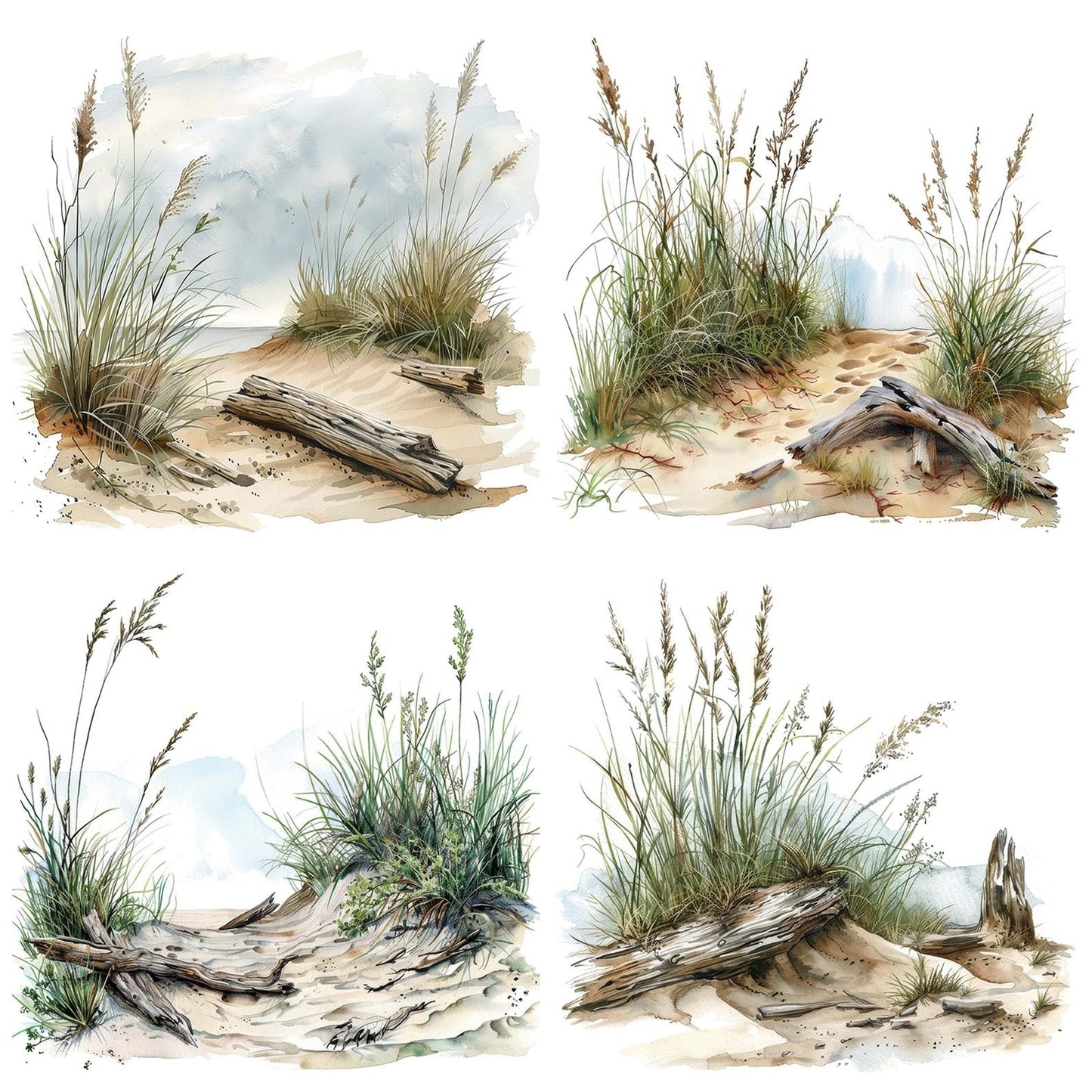 Sand Dunes Driftwood Clipart Set (DDD006490)