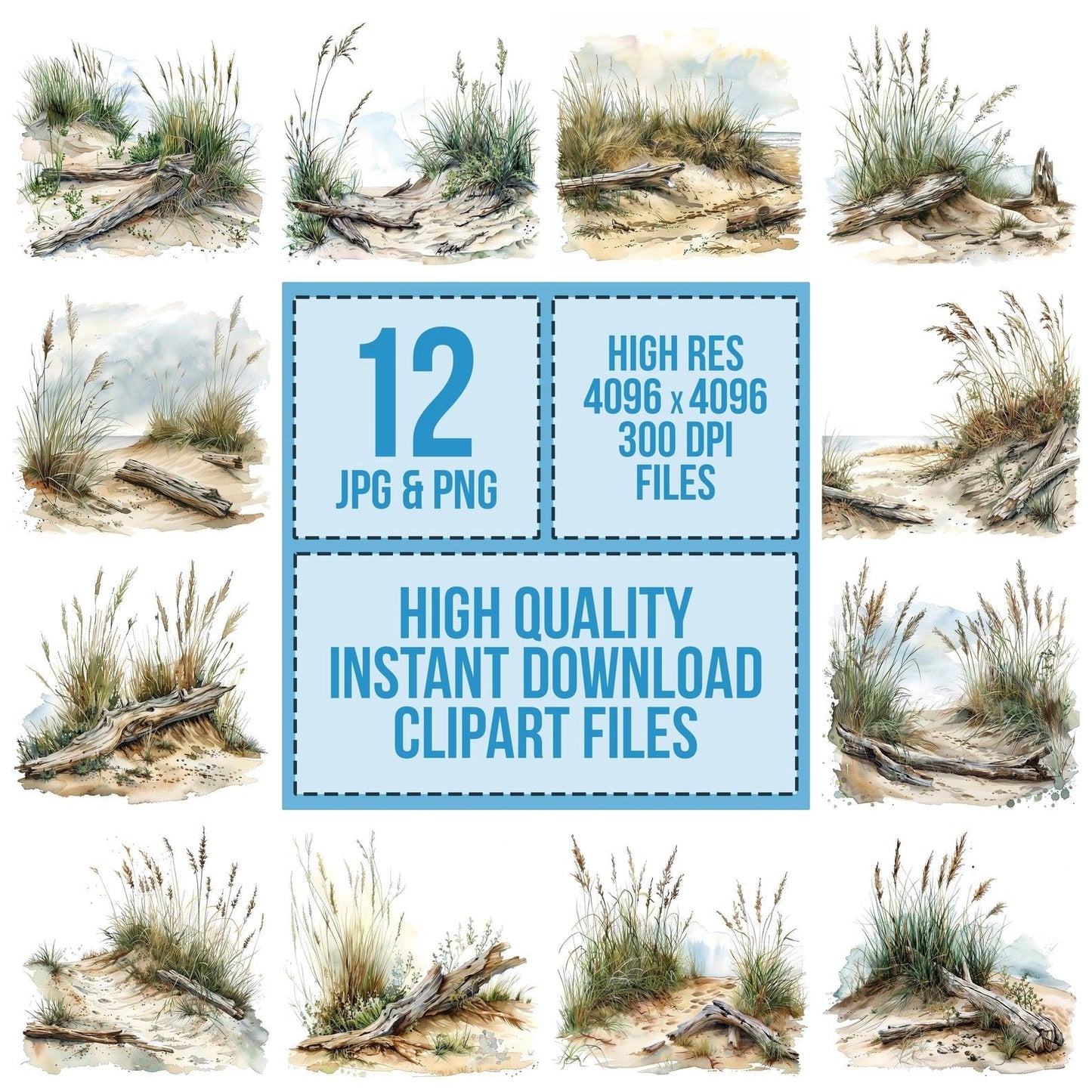Sand Dunes Driftwood Clipart Set (DDD006490)