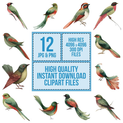 Scandinavian Bird Long Tail clipart set cover showing the designs and file details