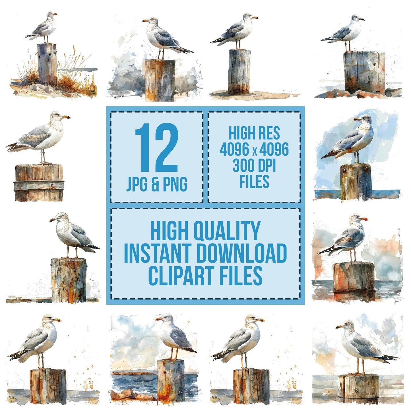 Seagull Perched on a Wooden Post Clipart Set (DDD006524)
