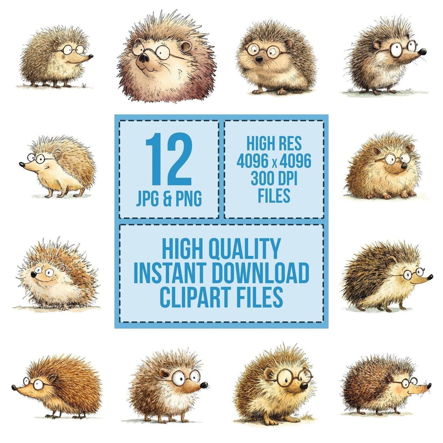 Silly Hedgehog Character Illustration Clipart Set (DDD006546)