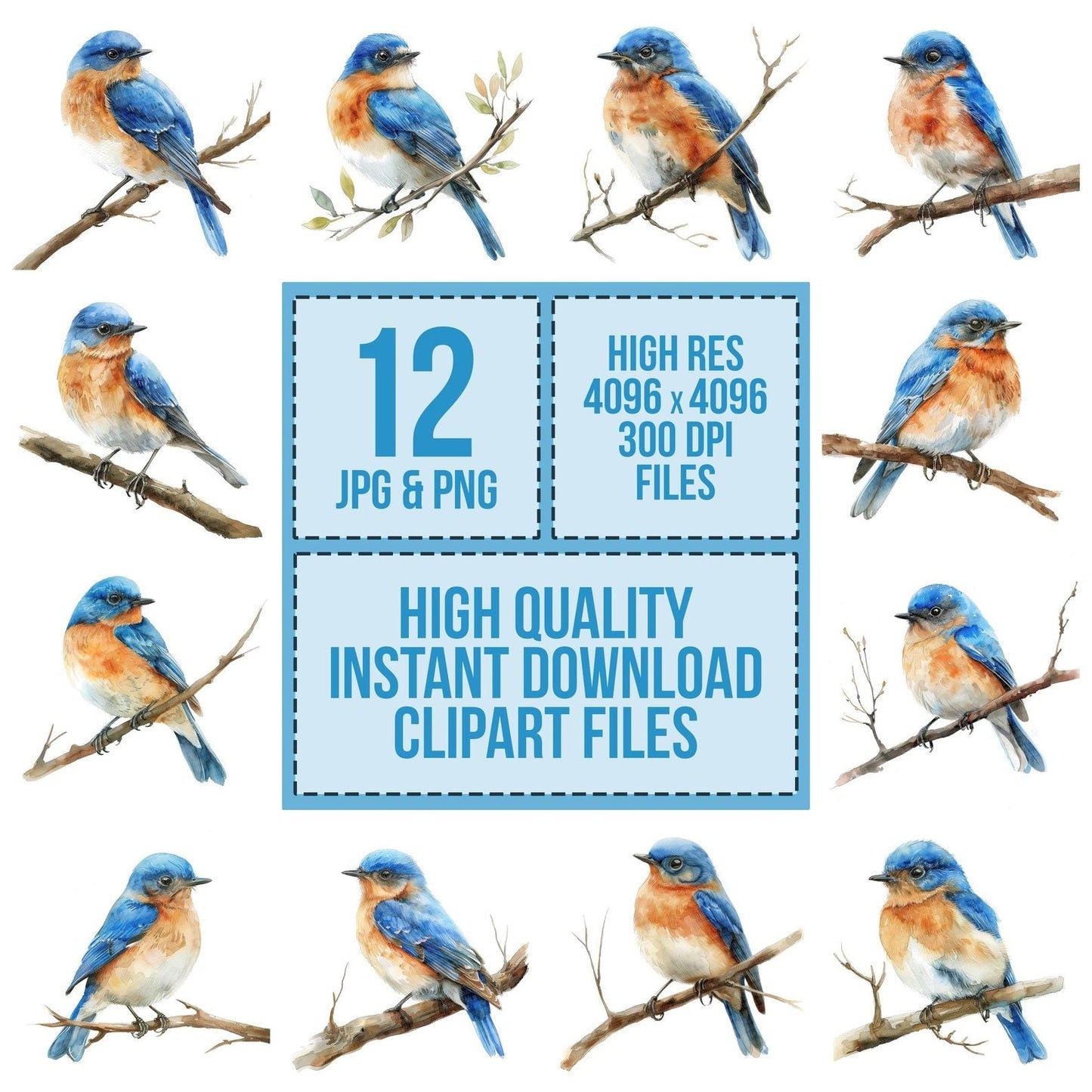 Small Bluebird Clipart Set (DDD006583)