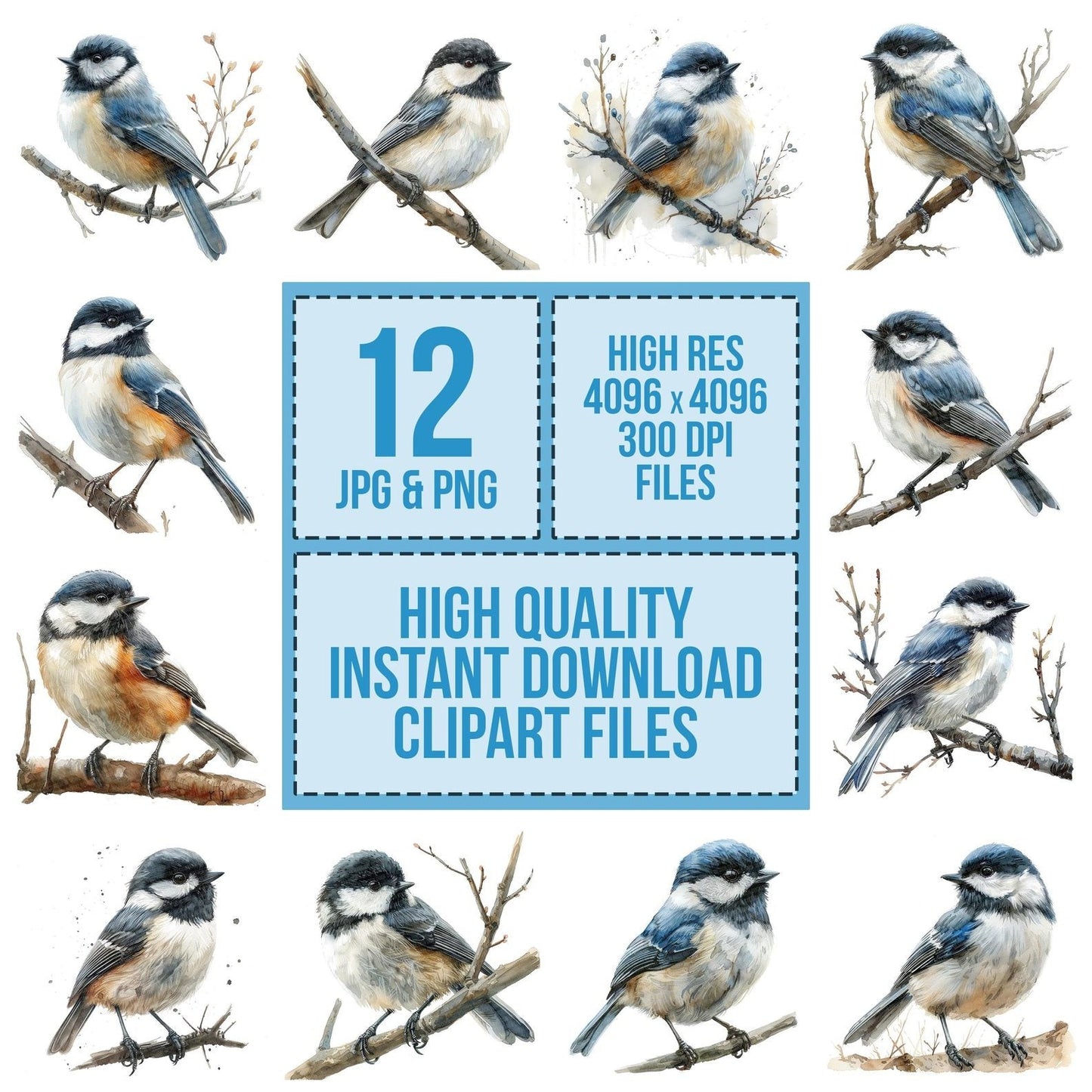 Small Chickadee Clipart Set (DDD006584)