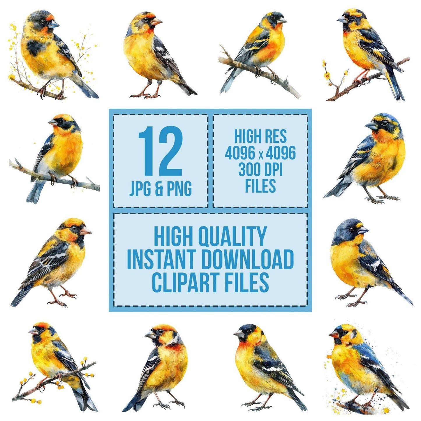 Small Goldfinch Clipart Set (DDD006585)
