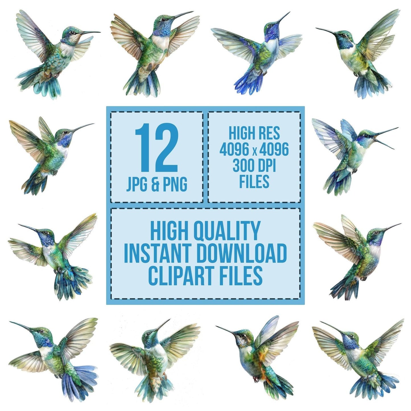 Small Hummingbird Clipart Set (DDD006586)