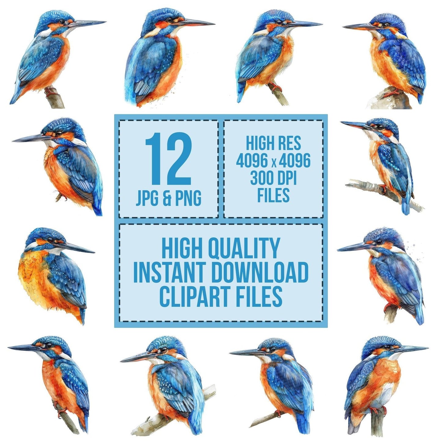 Small Kingfisher Clipart Set (DDD006587)