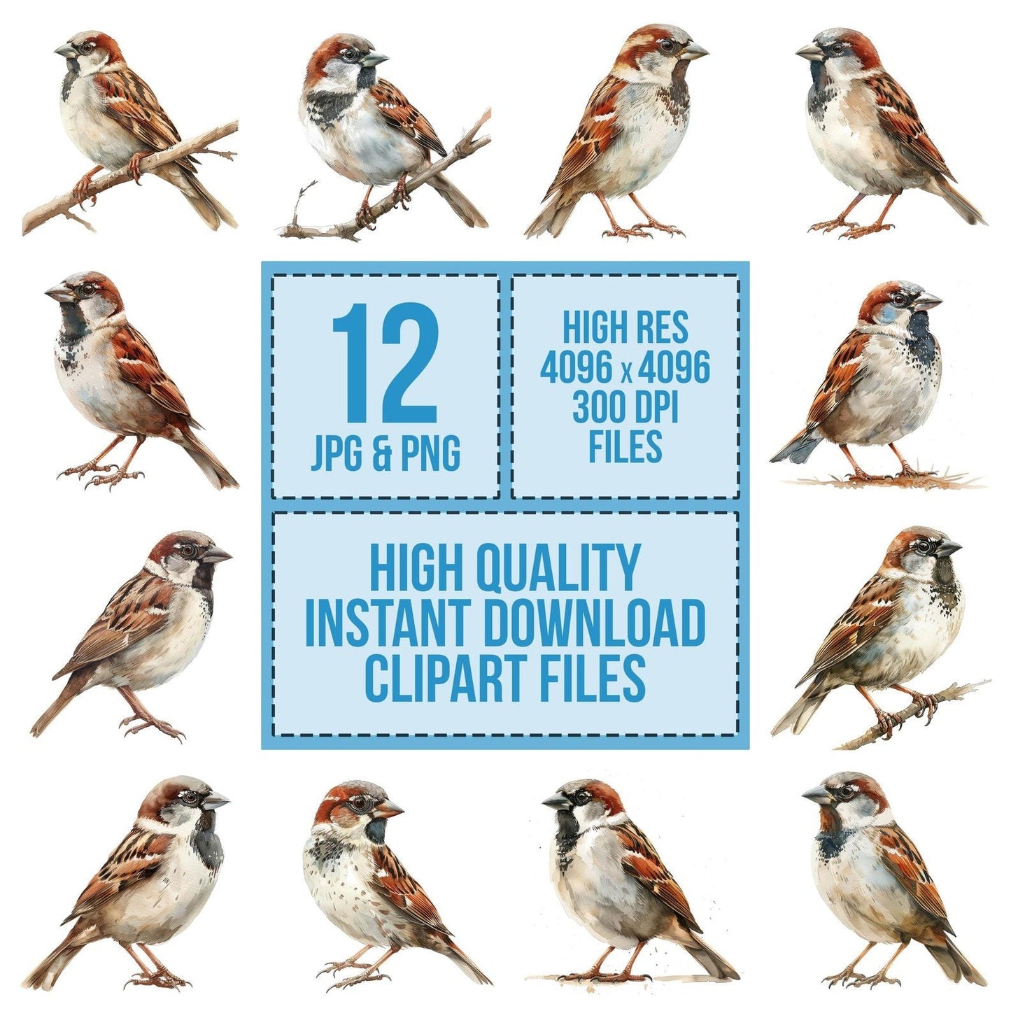 Small Sparrow Clipart Set (DDD006589)