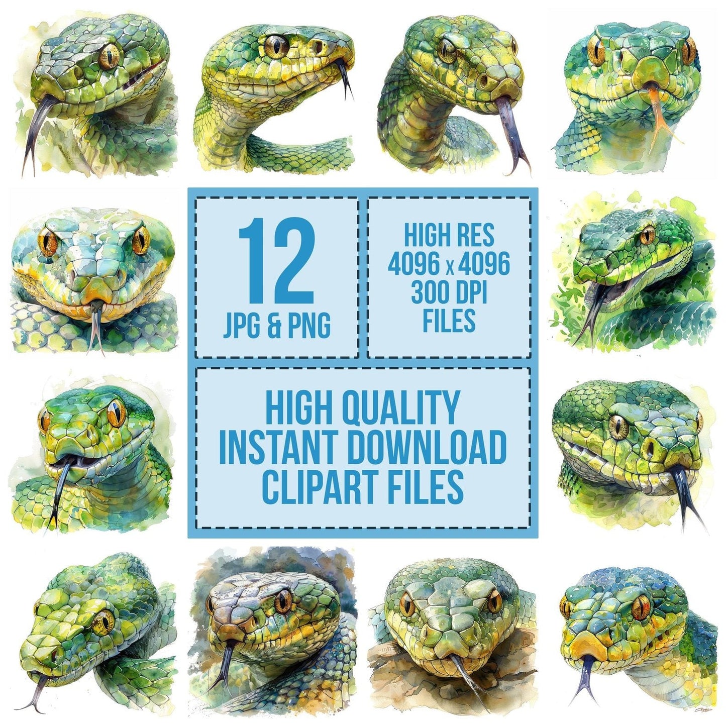 Snake Head Close Up Clipart Set (DDD006600)