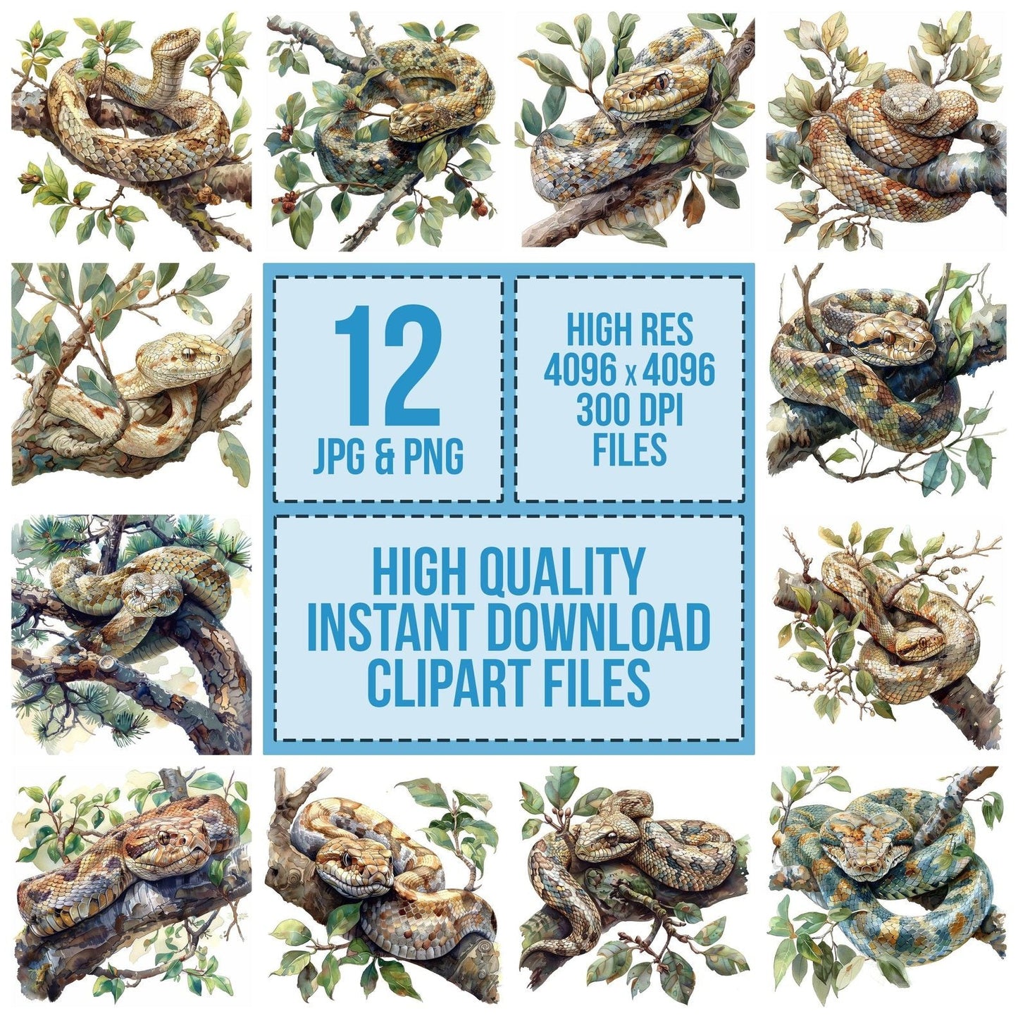 Snake in a Tree Clipart Set (DDD006601)